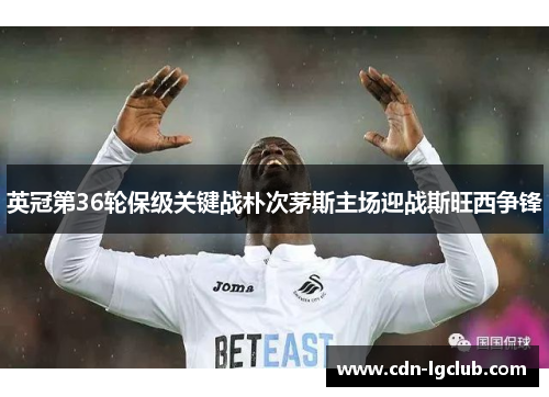 英冠第36轮保级关键战朴次茅斯主场迎战斯旺西争锋